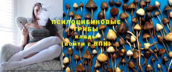 метадон Медногорск